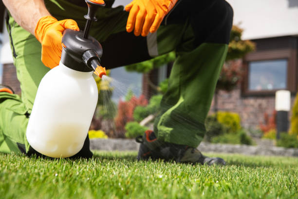 Best Affordable Pest Control Services  in Grant, MI