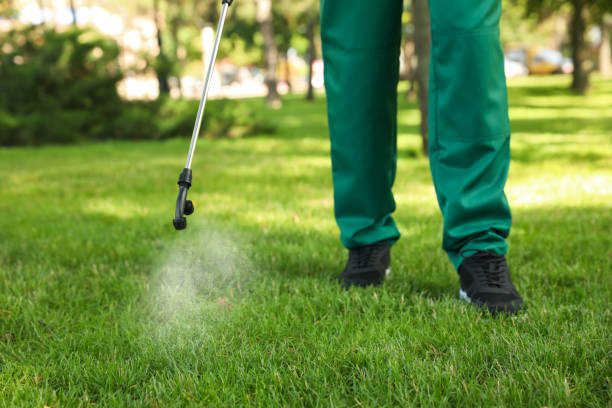 Best Rat Extermination Near Me  in Grant, MI