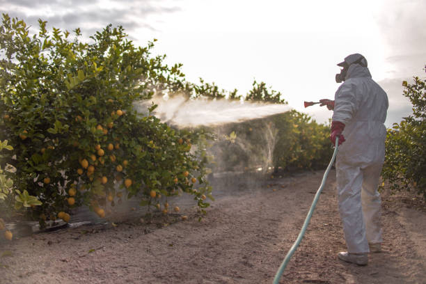 Best Wasp Removal Services  in Grant, MI