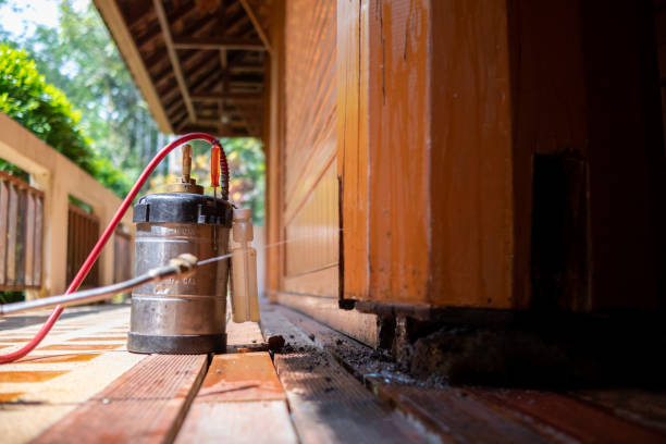 Best Best Pest Control Companies  in Grant, MI