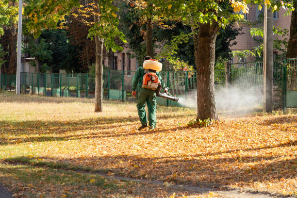 Best Flea Control Services  in Grant, MI