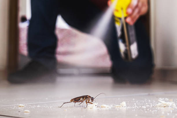 Best Spider Control Near Me  in Grant, MI