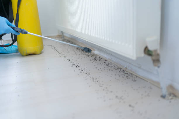 Best Ant Control Services  in Grant, MI