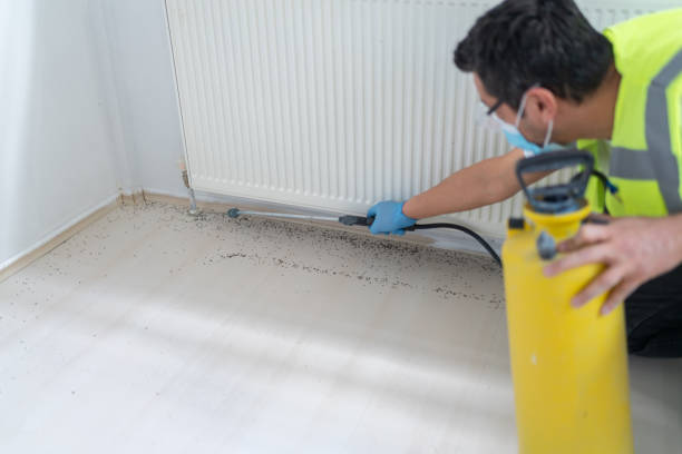 Best Emergency Pest Control  in Grant, MI