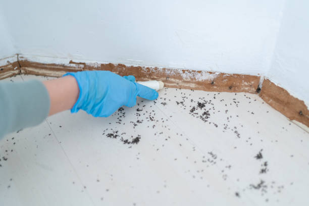 Best Pest Prevention Services  in Grant, MI